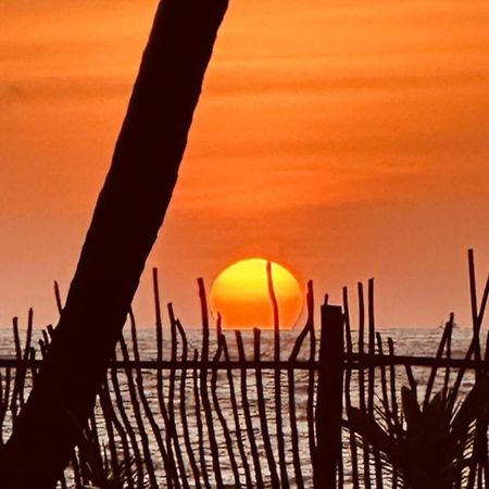 Cocovilla Boutique Resort ベールワラ エクステリア 写真
