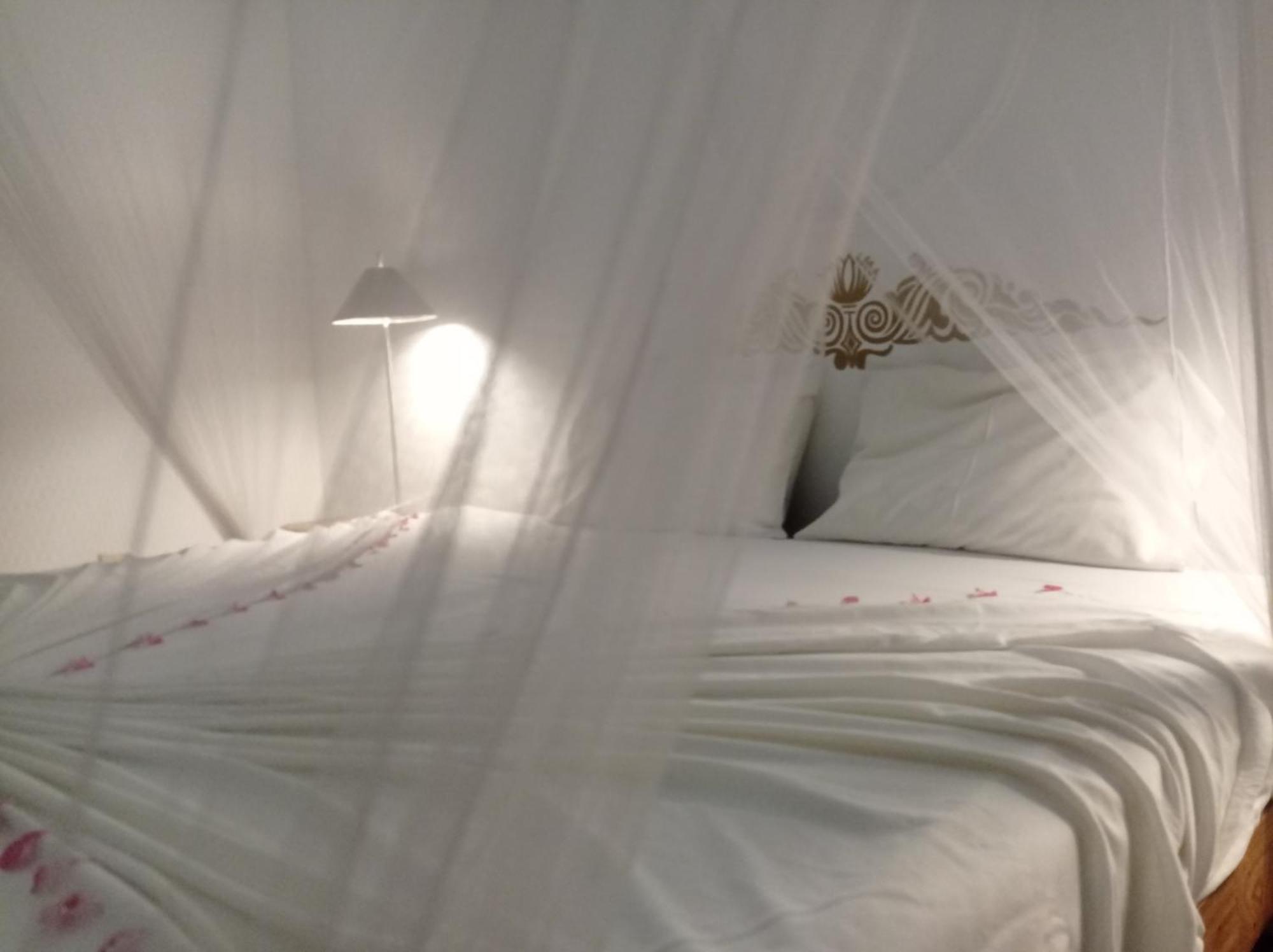 Cocovilla Boutique Resort ベールワラ エクステリア 写真